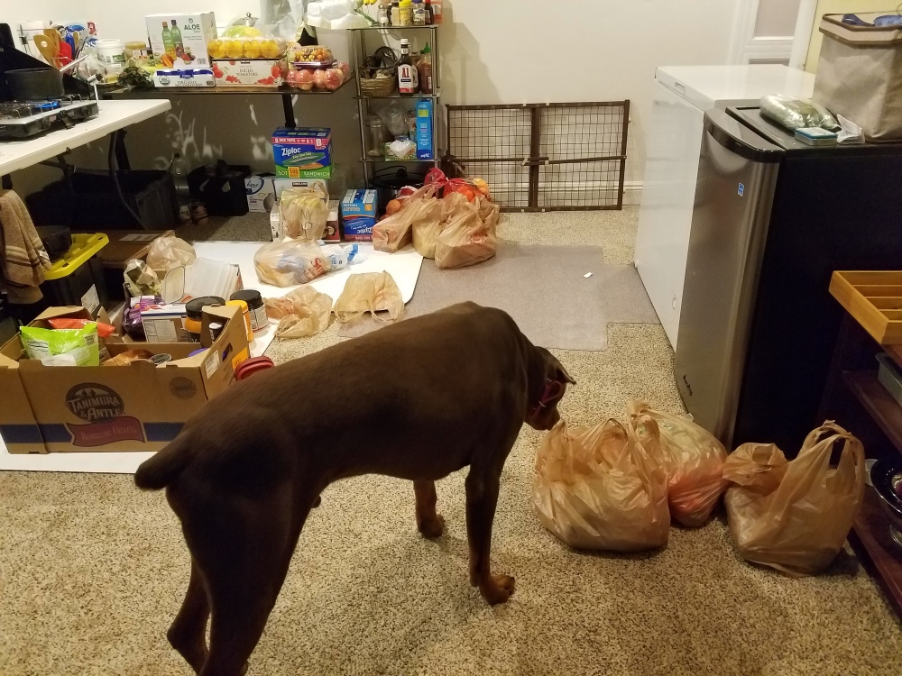 meal-prep-planning-kitchen-mess-dante-helping